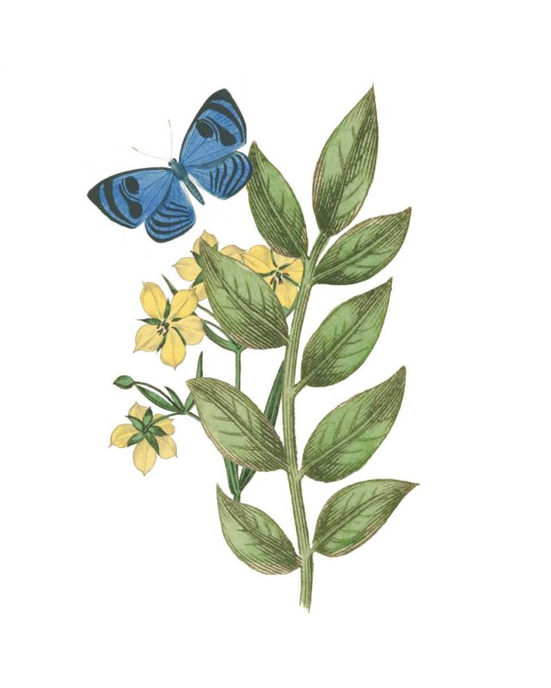 Greenery Butterflies IV art print by Wild Apple Portfolio for $57.95 CAD