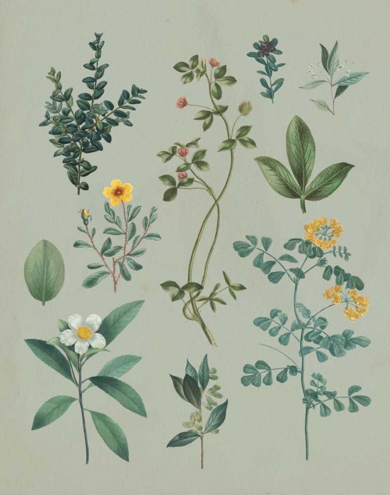 Victorian Garden V art print by Wild Apple Portfolio for $57.95 CAD