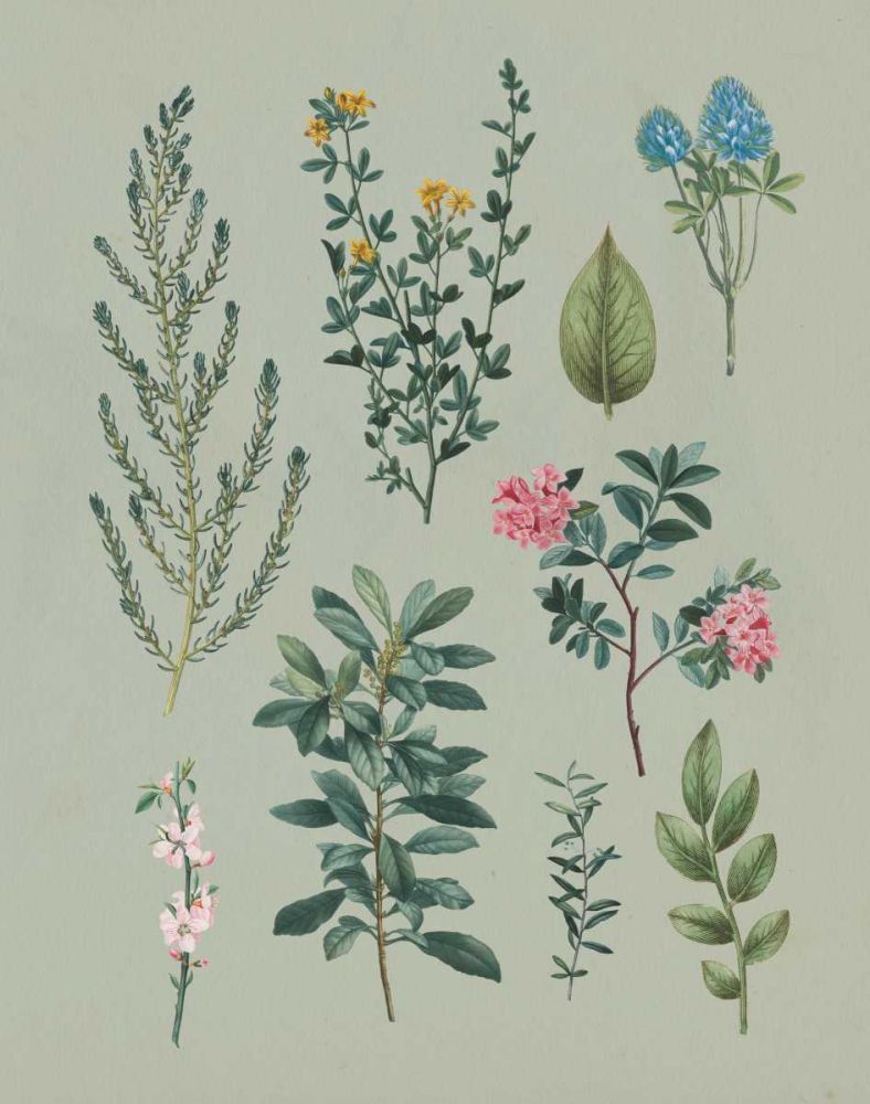 Victorian Garden VI art print by Wild Apple Portfolio for $57.95 CAD