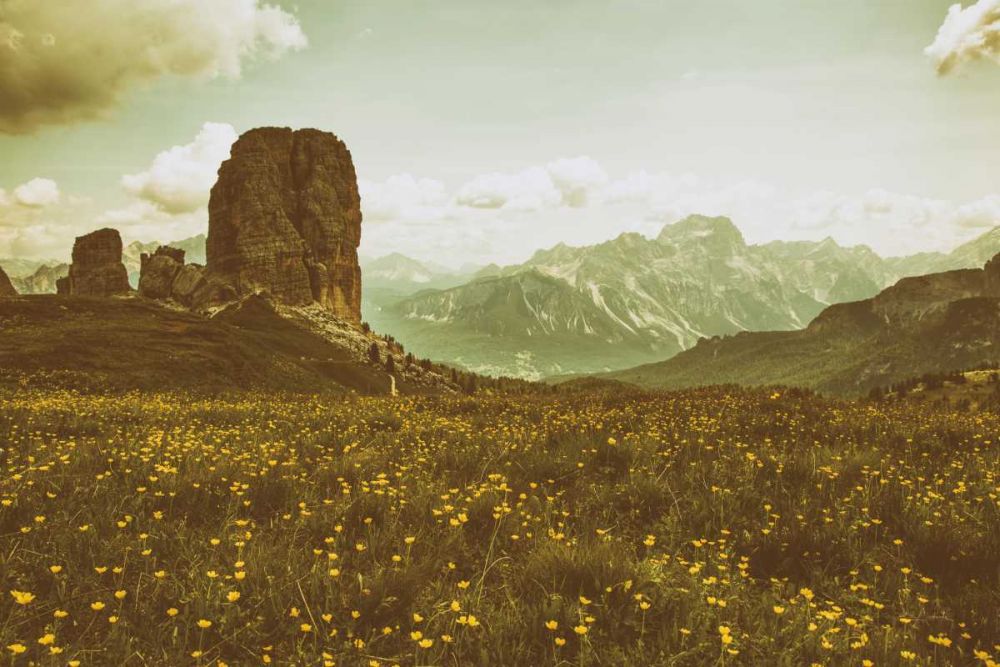 Floral Fields art print by Aledanda for $57.95 CAD