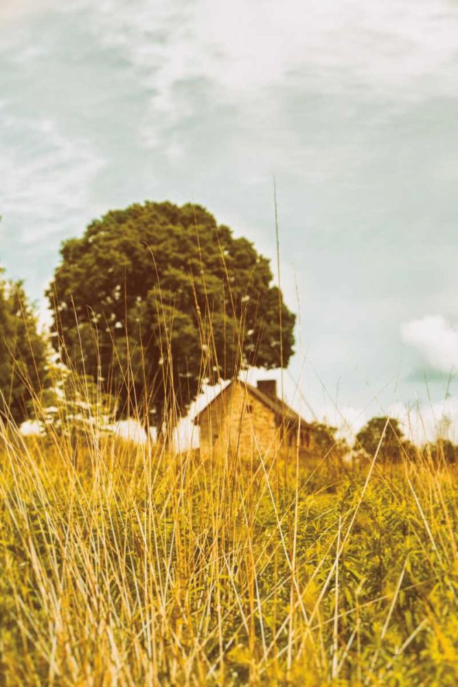 Grass and Sky art print by Aledanda for $57.95 CAD