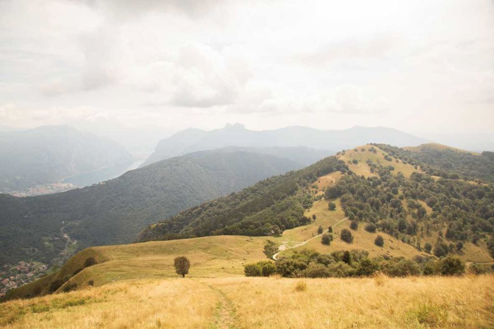 Grassy Hills and Mountains art print by Aledanda for $57.95 CAD