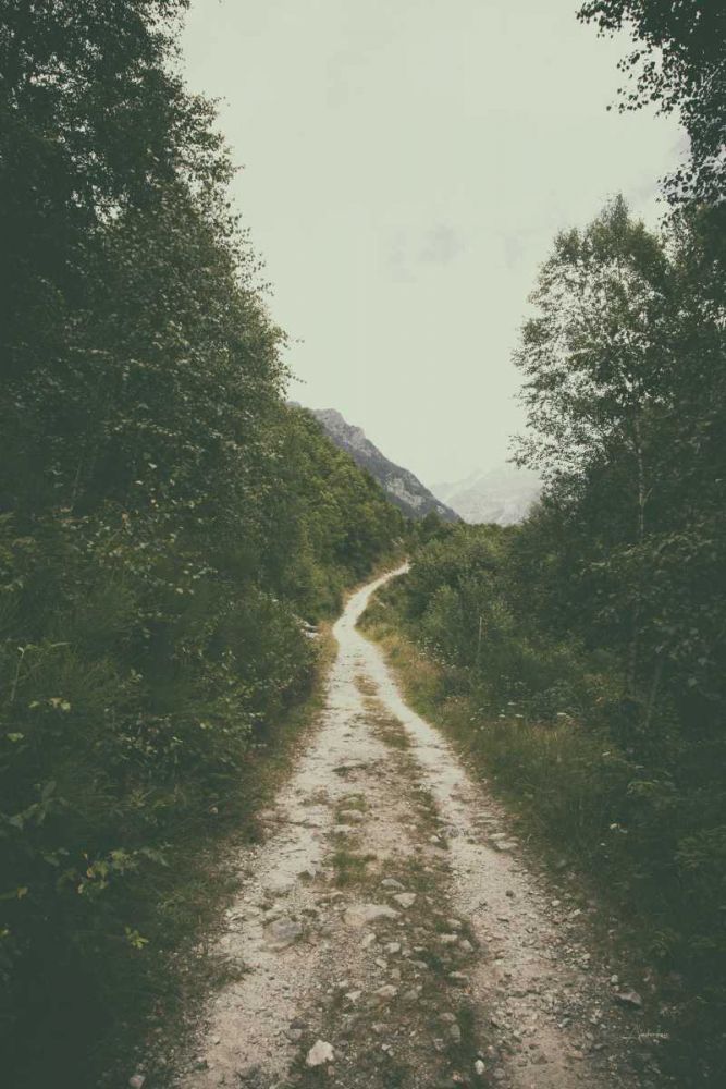 The Path We Followed art print by Aledanda for $57.95 CAD