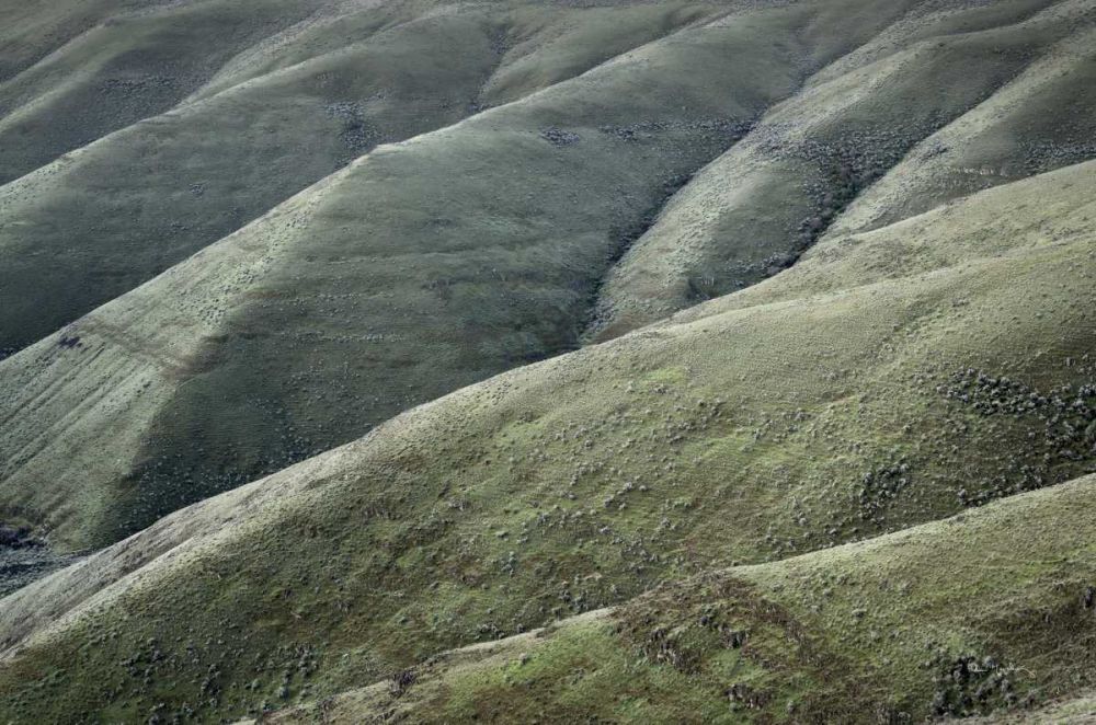 Columbia Plateau Oregon art print by Alan Majchrowicz for $57.95 CAD