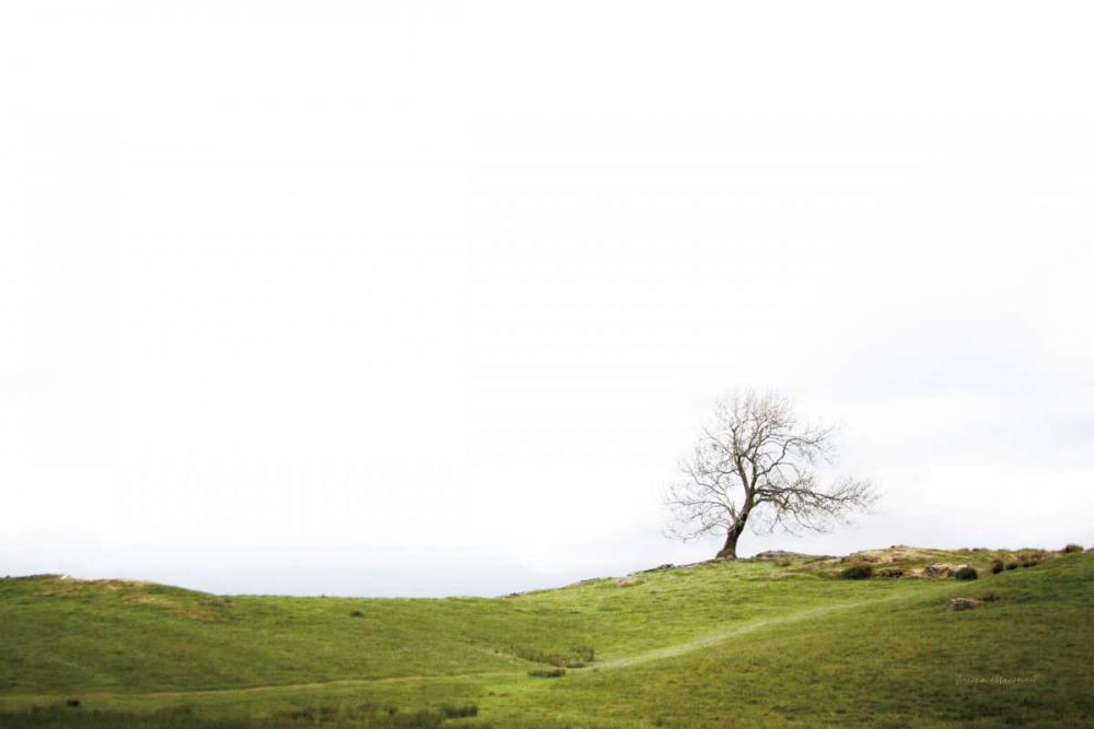 Dales Way I art print by Laura Marshall for $57.95 CAD