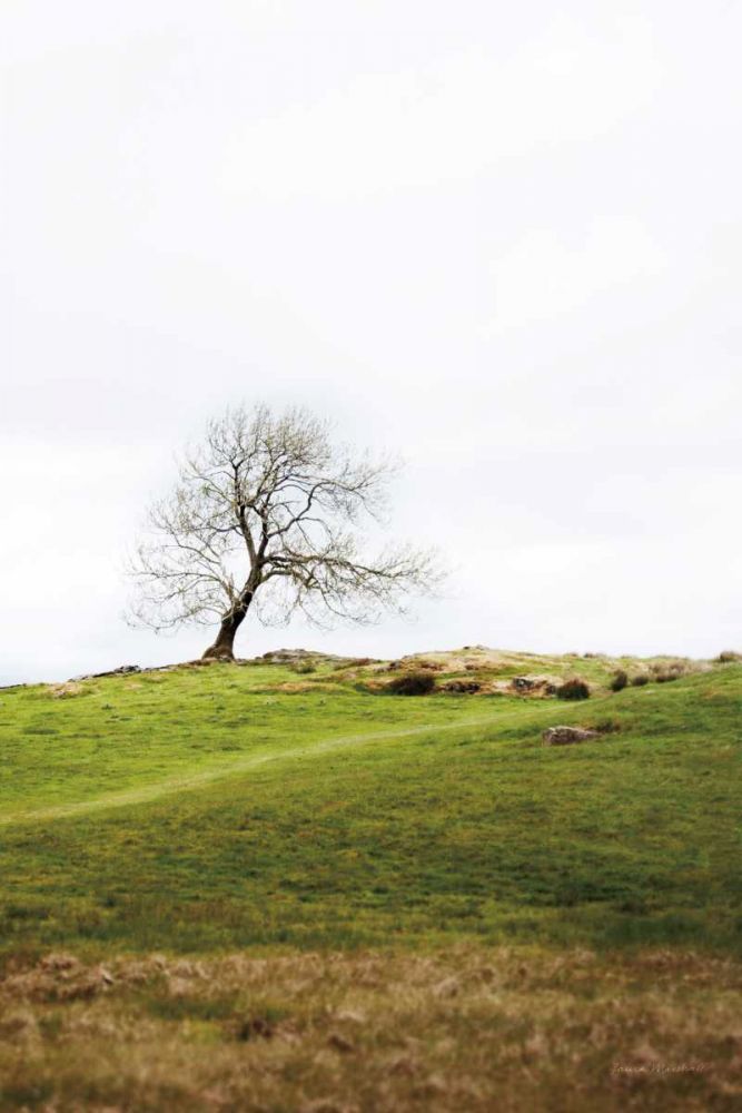 Dales Way II art print by Laura Marshall for $57.95 CAD