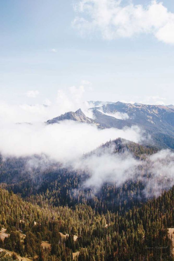 Hurricane Ridge I art print by Laura Marshall for $57.95 CAD
