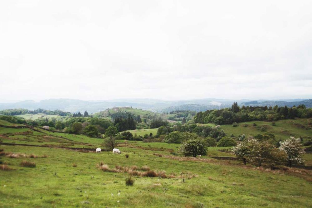 Lake District I art print by Laura Marshall for $57.95 CAD