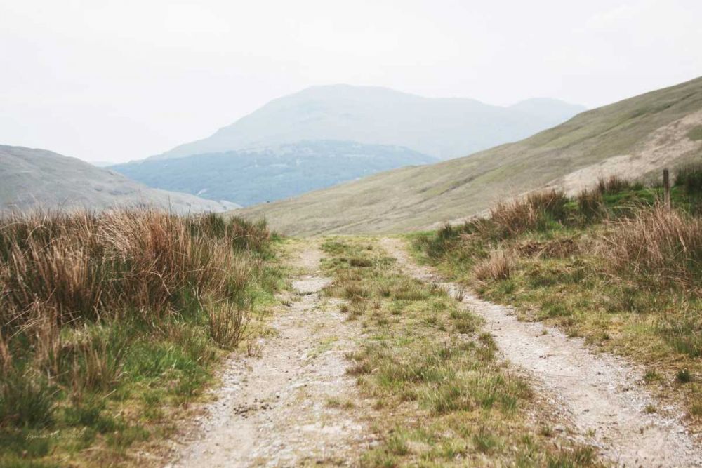 Scottish Highlands I art print by Laura Marshall for $57.95 CAD