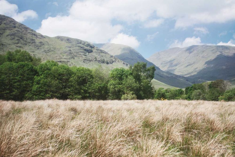 Scottish Highlands III art print by Laura Marshall for $57.95 CAD