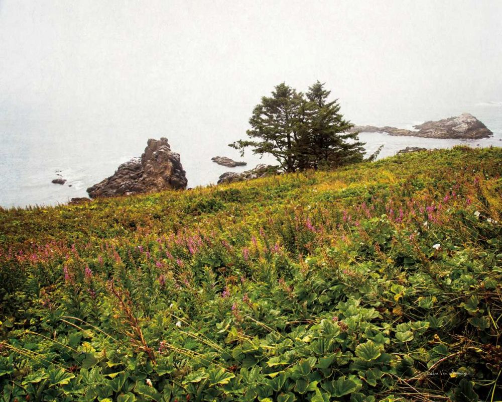 Oregon Coast art print by Debra Van Swearingen for $57.95 CAD