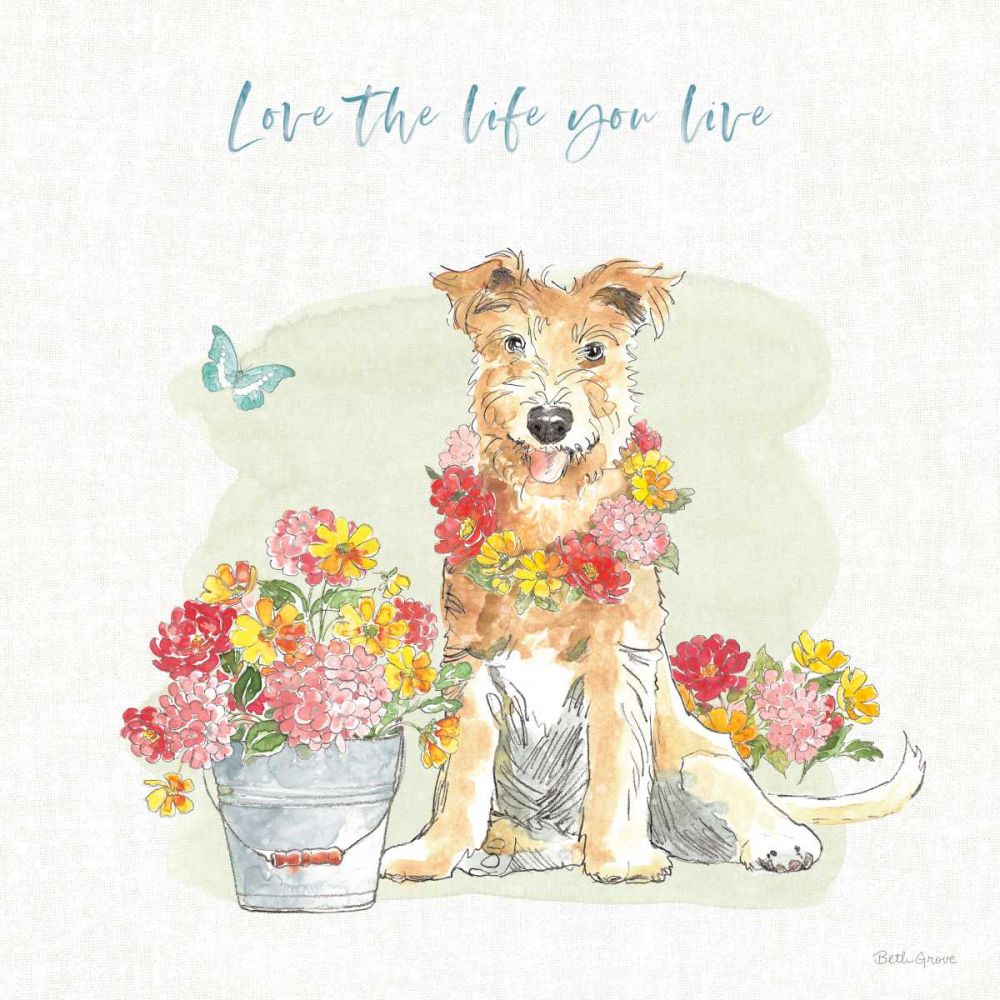 Furry Pals II art print by Beth Grove for $57.95 CAD