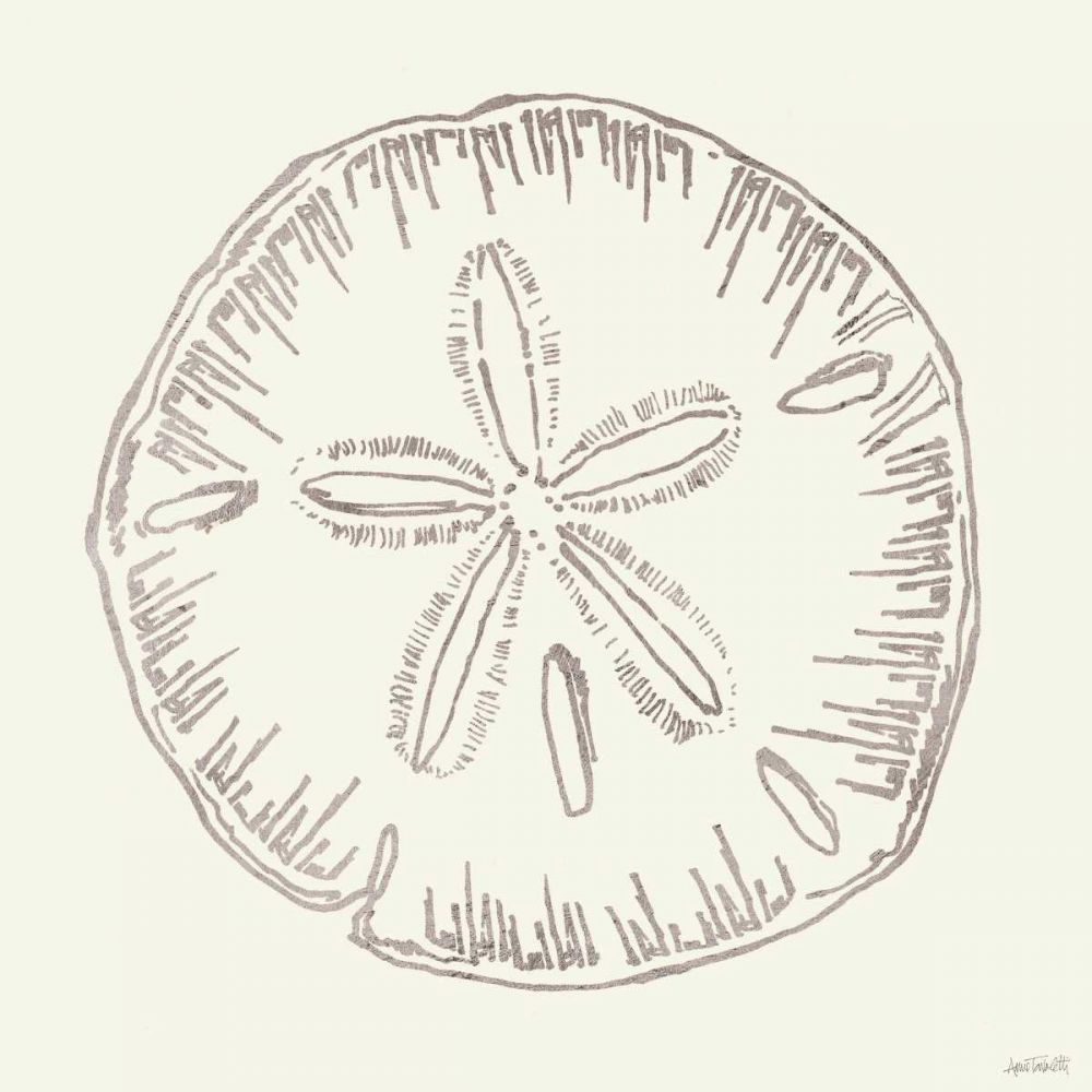 Coastal Breeze Shell Sketches IV Silver art print by Anne Tavoletti for $57.95 CAD