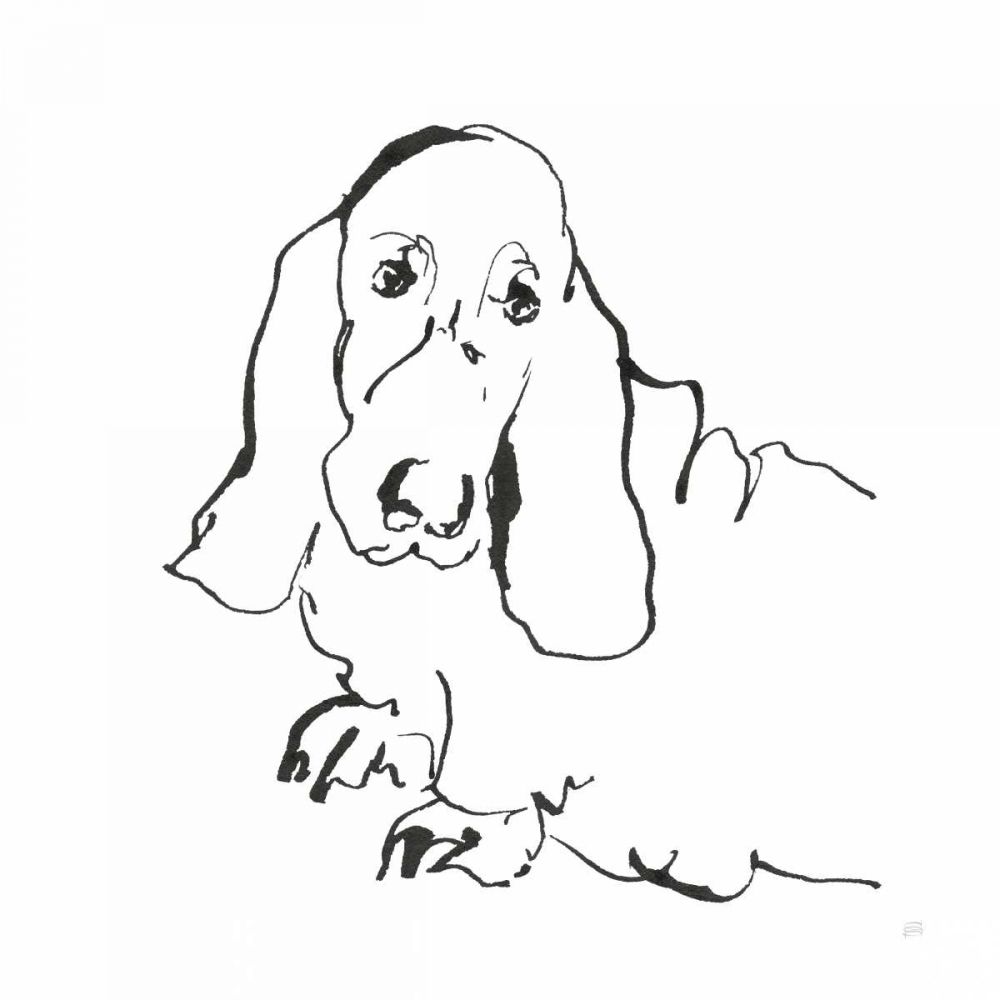 Line Dog Basset Hound art print by Chris Paschke for $57.95 CAD