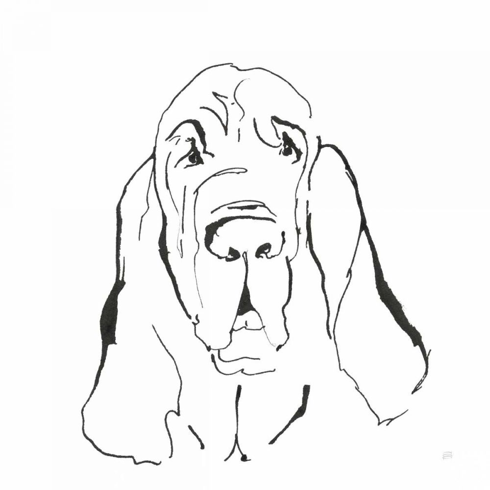 Line Dog Bloodhound I art print by Chris Paschke for $57.95 CAD