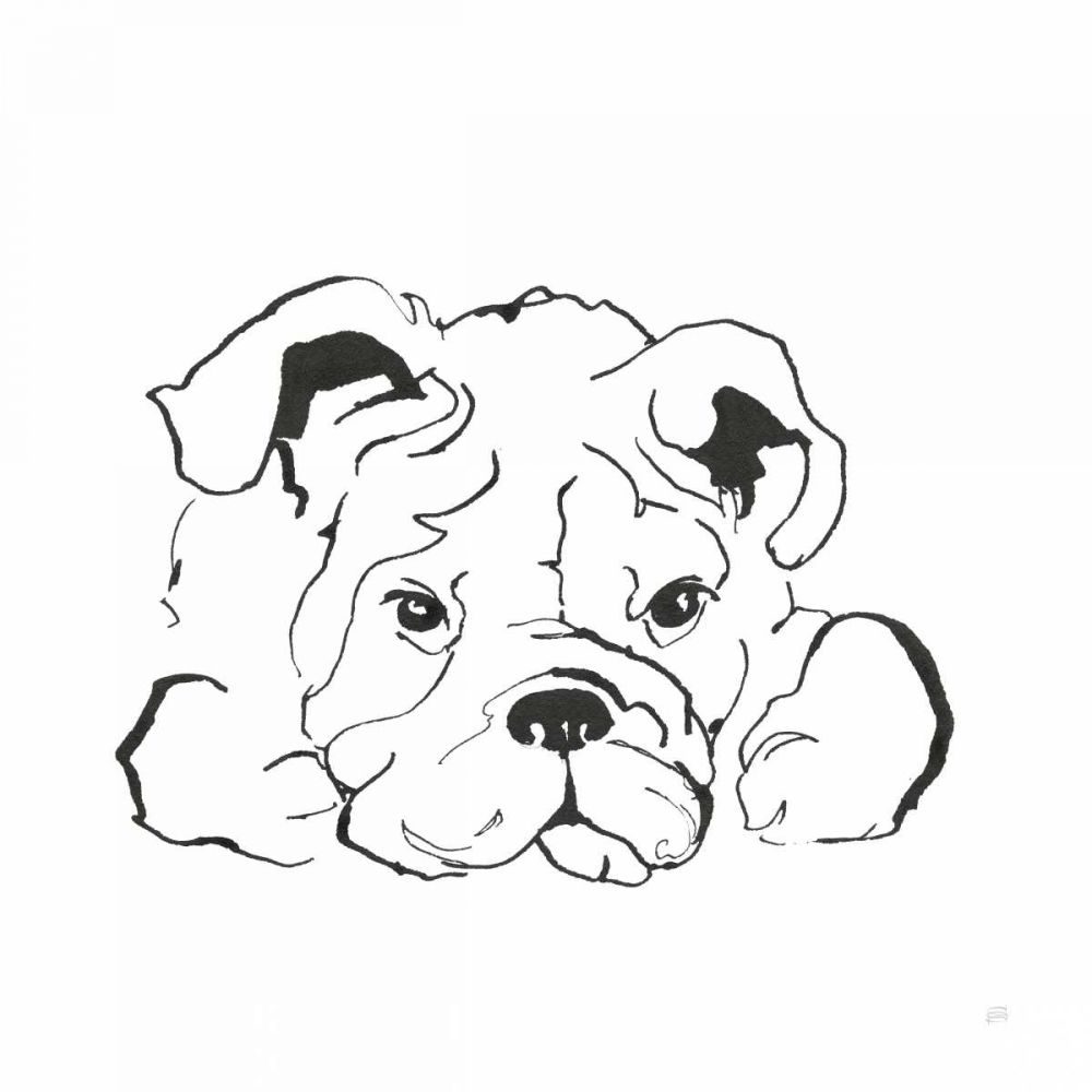 Line Dog Bulldog II art print by Chris Paschke for $57.95 CAD