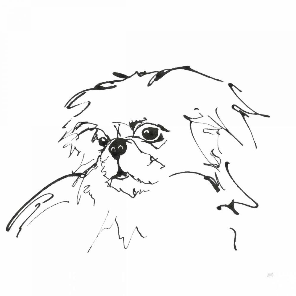 Line Dog Pekingese art print by Chris Paschke for $57.95 CAD