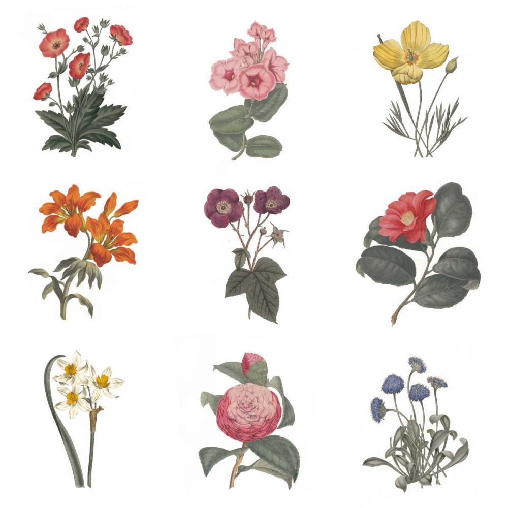 Monument Etching Tile Flowers Sq II White art print by Wild Apple Portfolio for $57.95 CAD
