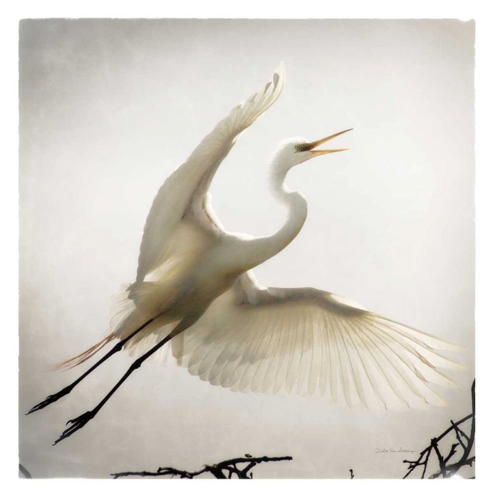 Emergence art print by Debra Van Swearingen for $57.95 CAD