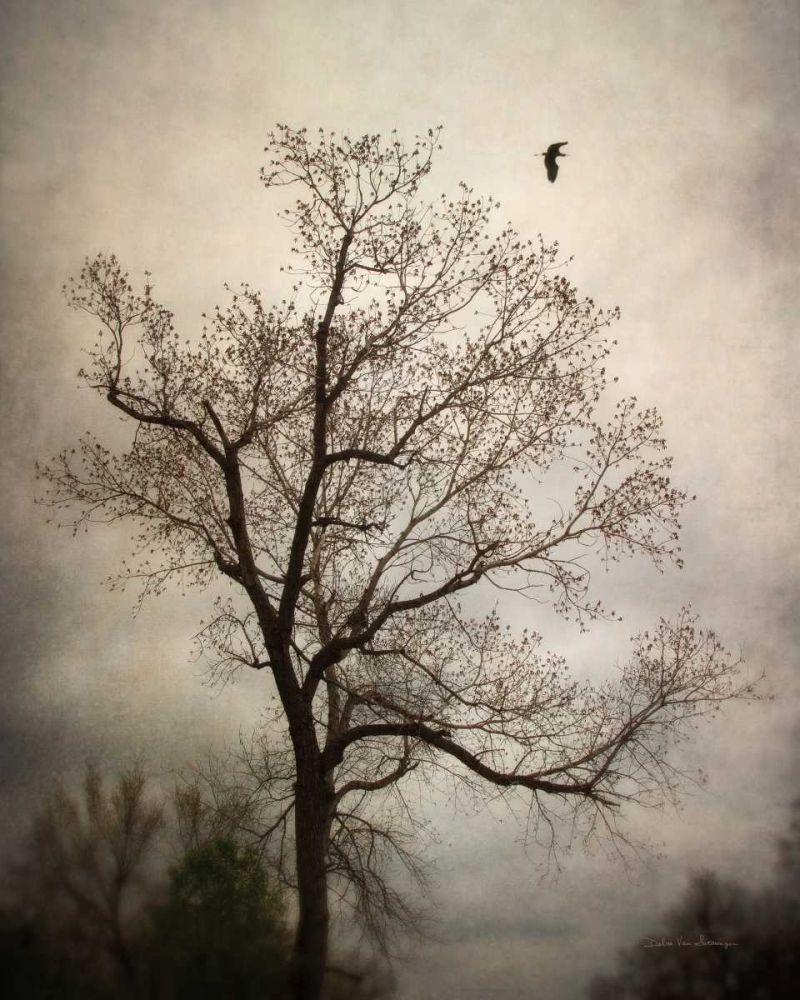 The Flyover art print by Debra Van Swearingen for $57.95 CAD