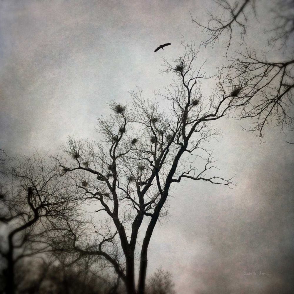 The Heron Rookery art print by Debra Van Swearingen for $57.95 CAD