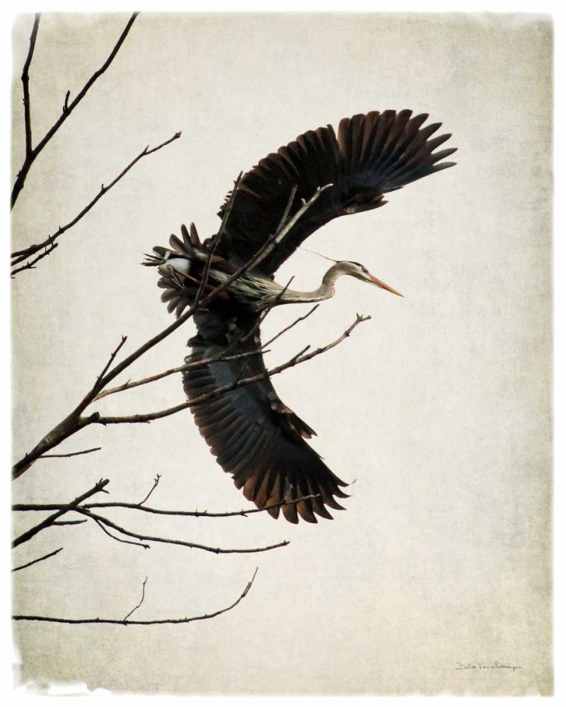 Grace art print by Debra Van Swearingen for $57.95 CAD
