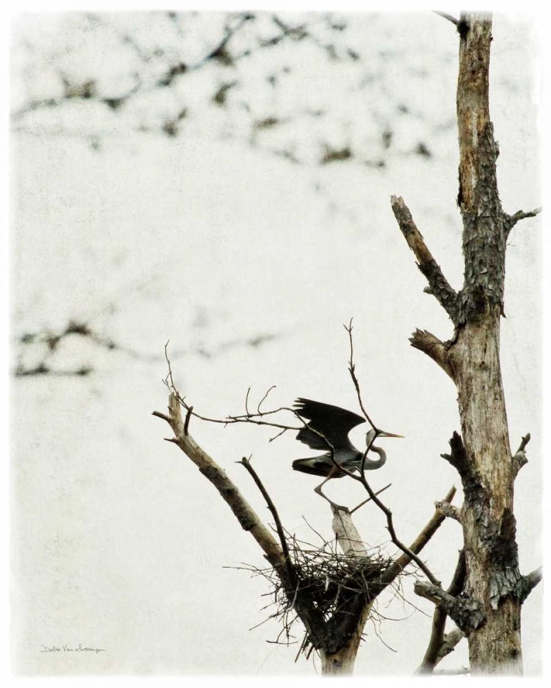 Poised art print by Debra Van Swearingen for $57.95 CAD