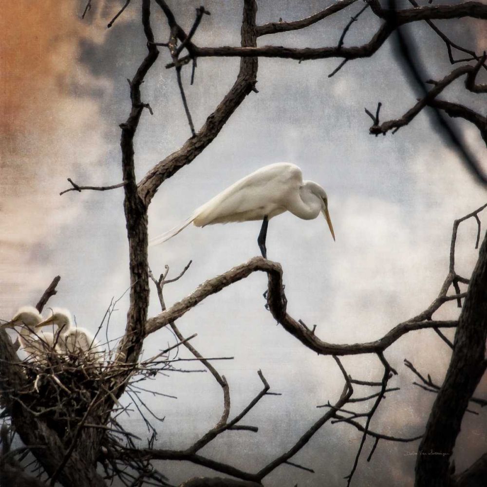 Respite art print by Debra Van Swearingen for $57.95 CAD