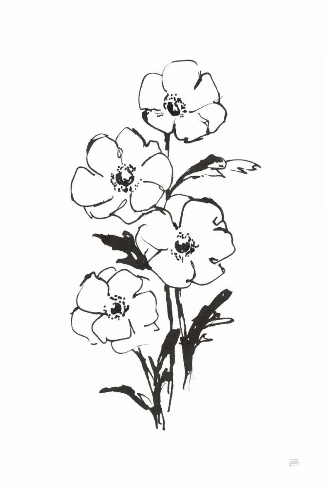 Line Anemone I art print by Chris Paschke for $57.95 CAD