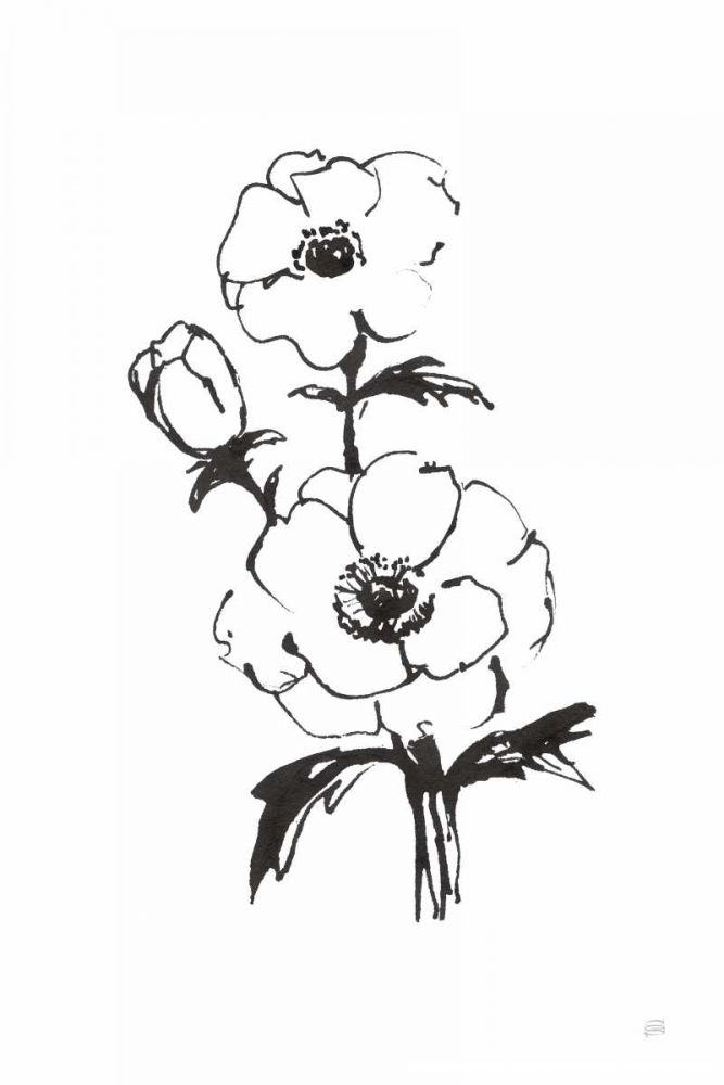 Line Anemone II art print by Chris Paschke for $57.95 CAD