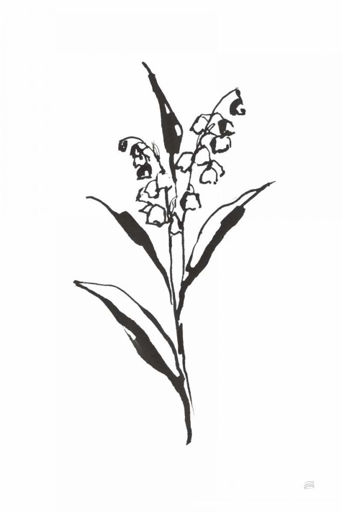 Line Lily of the Valley II art print by Chris Paschke for $57.95 CAD