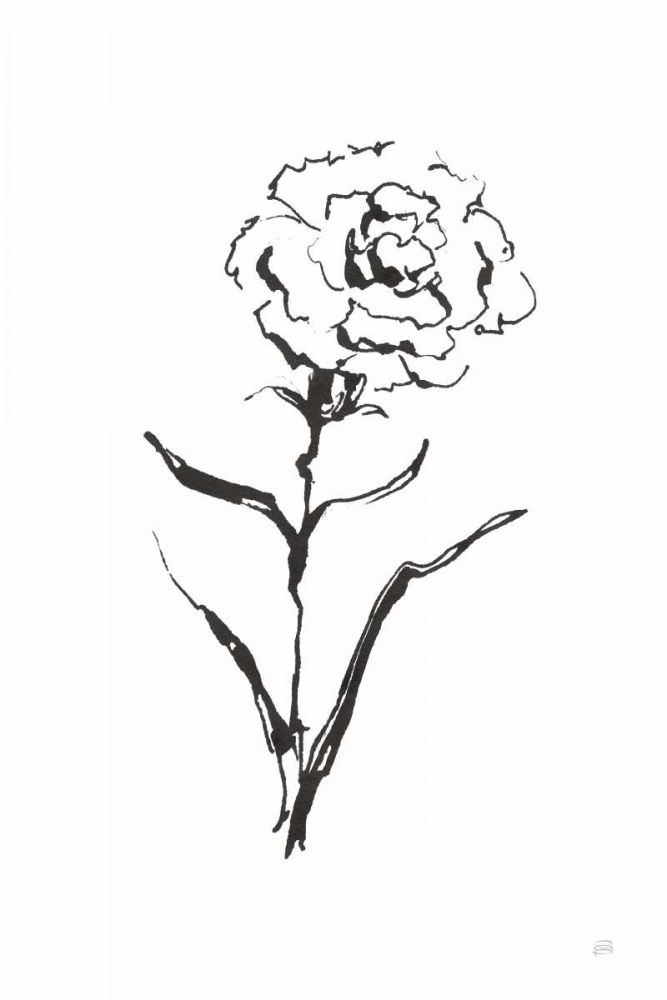 Line Carnation I art print by Chris Paschke for $57.95 CAD