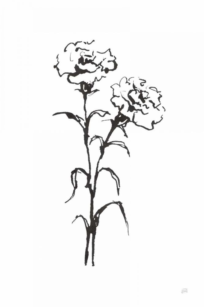 Line Carnation II art print by Chris Paschke for $57.95 CAD