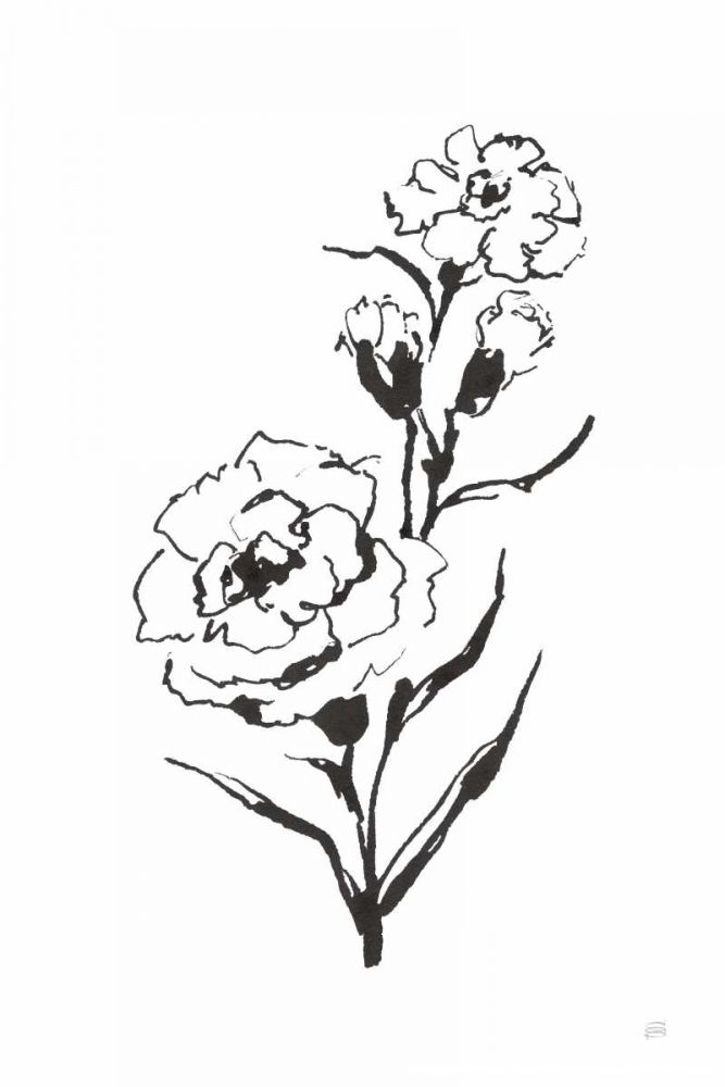 Line Carnation III art print by Chris Paschke for $57.95 CAD
