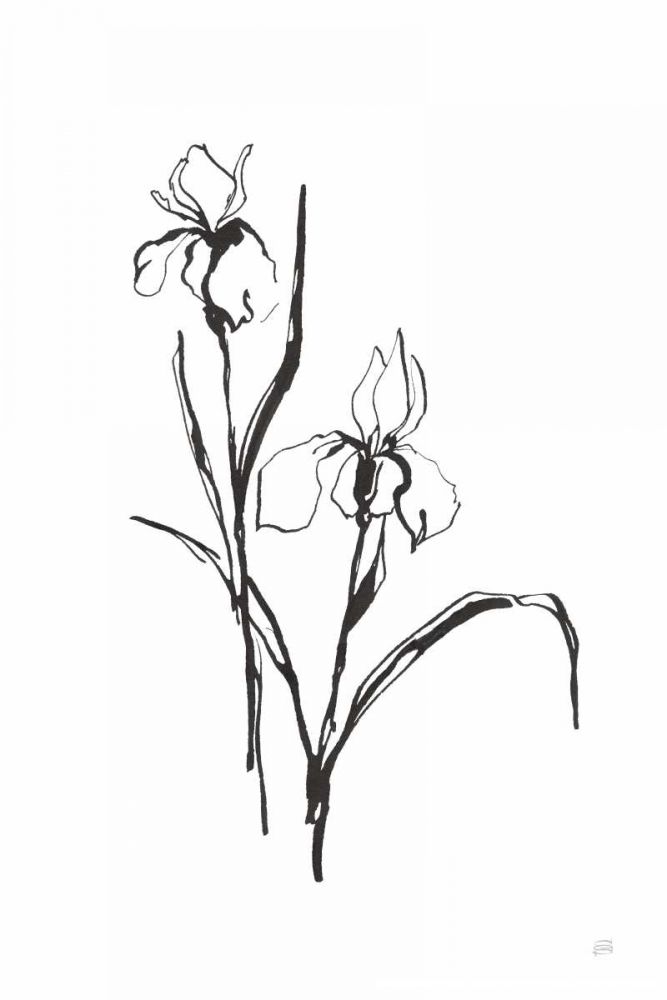 Line Iris III art print by Chris Paschke for $57.95 CAD