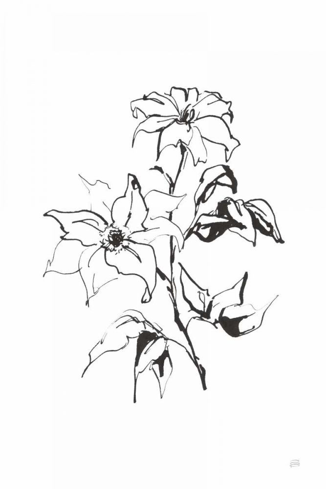 Line Clematis art print by Chris Paschke for $57.95 CAD
