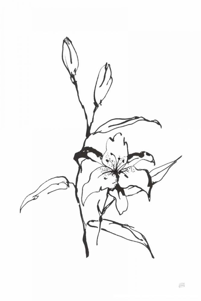 Line Tiger Lily art print by Chris Paschke for $57.95 CAD