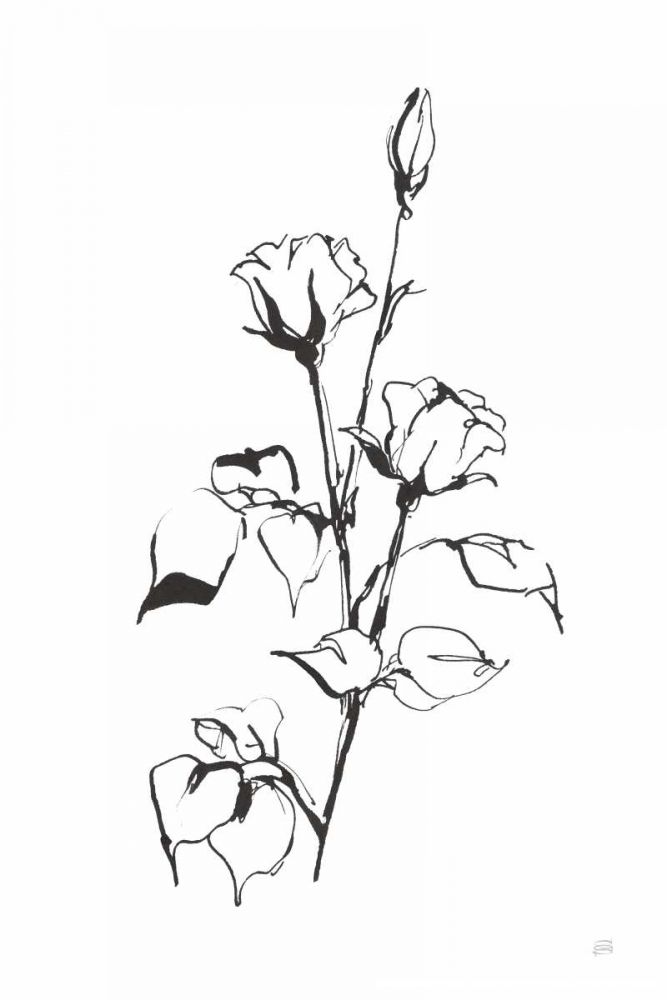 Line Rosebuds art print by Chris Paschke for $57.95 CAD