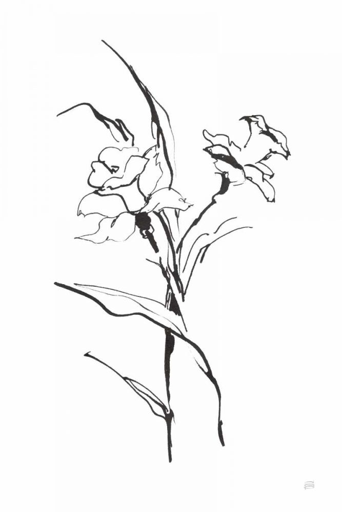 Line Daffodil art print by Chris Paschke for $57.95 CAD