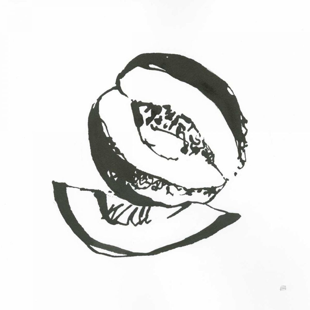Cantaloupe I BW art print by Chris Paschke for $57.95 CAD