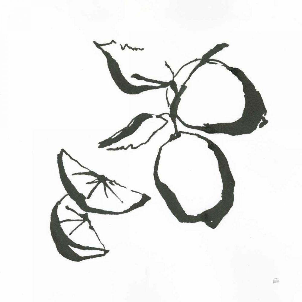 Limes BW art print by Chris Paschke for $57.95 CAD
