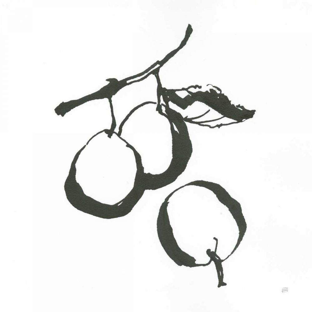 Plums II BW art print by Chris Paschke for $57.95 CAD