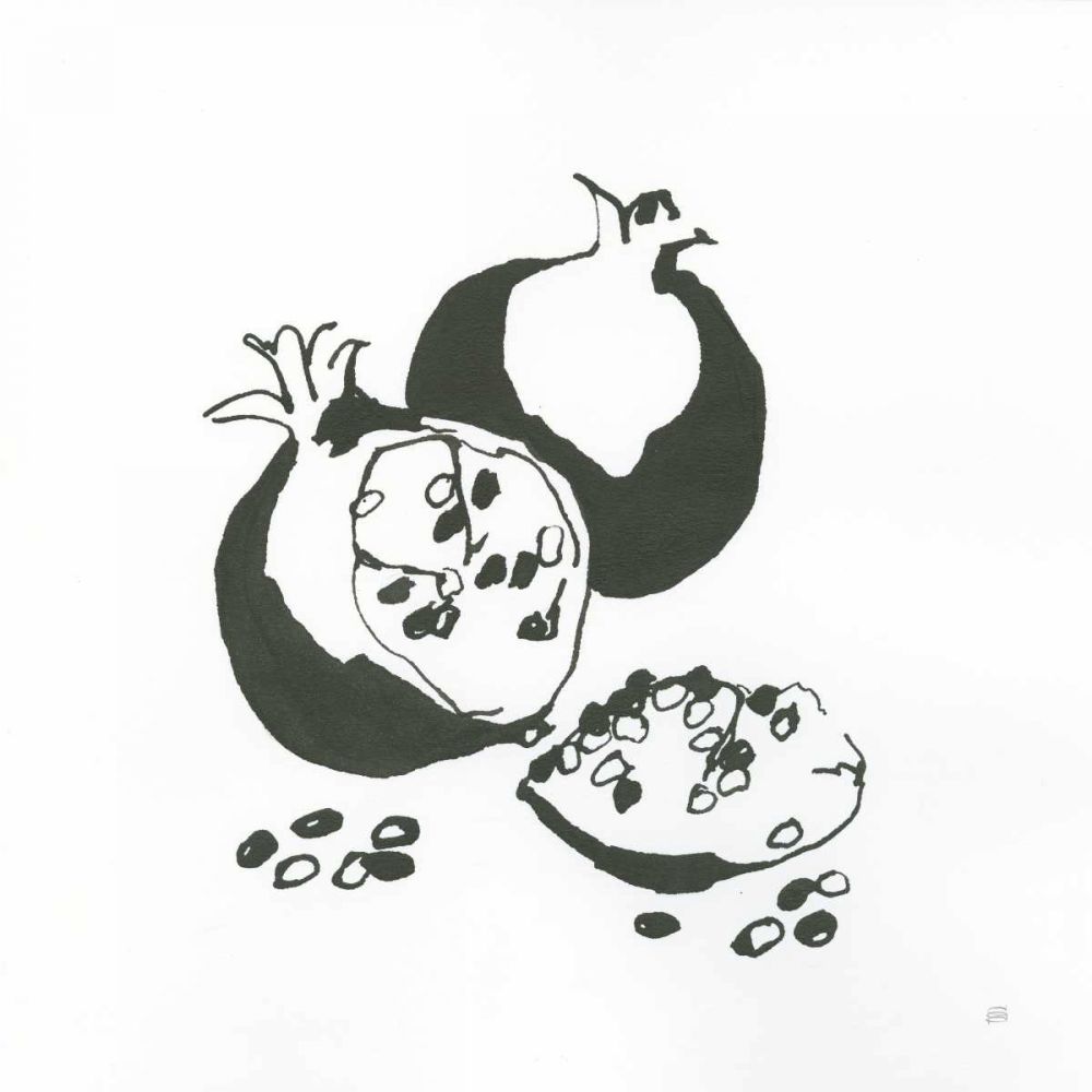Pomegranate II BW art print by Chris Paschke for $57.95 CAD