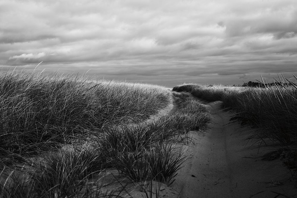 Beach Grasses art print by Aledanda for $57.95 CAD