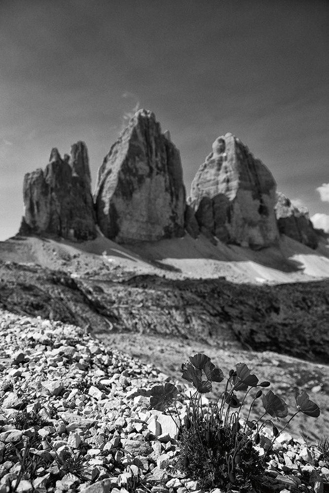 Dolomiti IV art print by Aledanda for $57.95 CAD