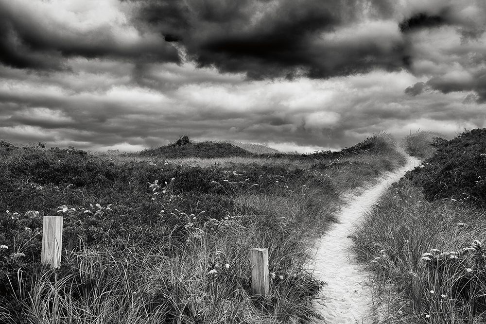 Nantucket Pathway art print by Aledanda for $57.95 CAD