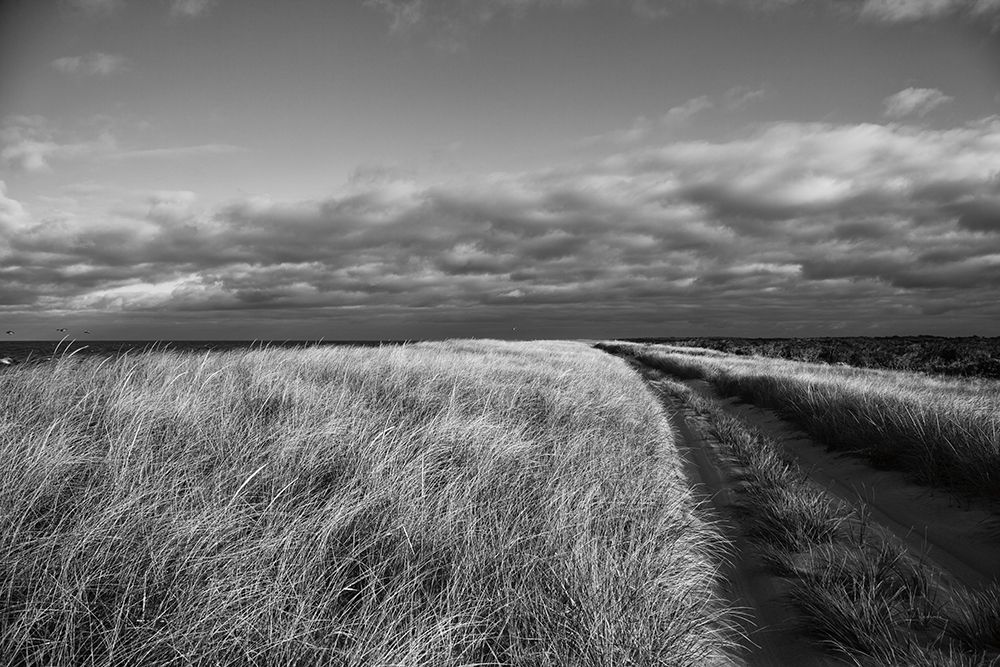 Road to the Beach art print by Aledanda for $57.95 CAD