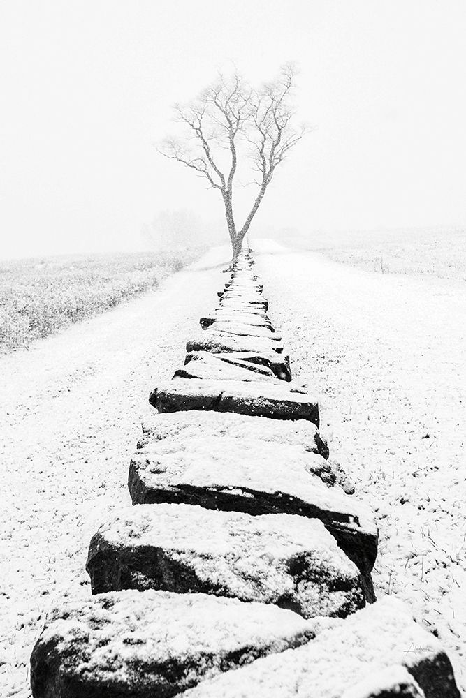 Snowy Stone Wall art print by Aledanda for $57.95 CAD