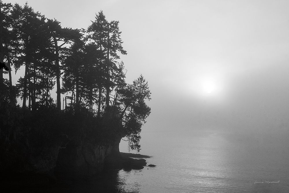Tongue Point art print by Laura Marshall for $57.95 CAD