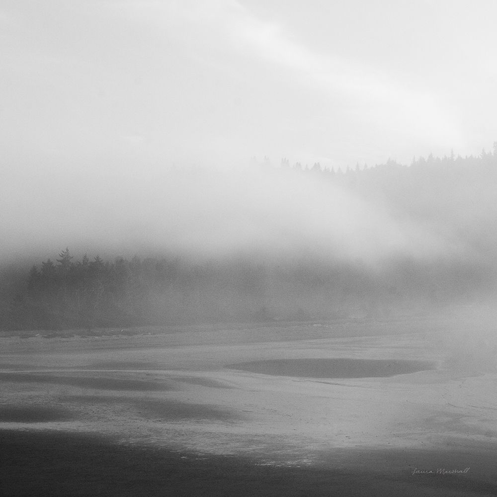 Salt Creek I art print by Laura Marshall for $57.95 CAD